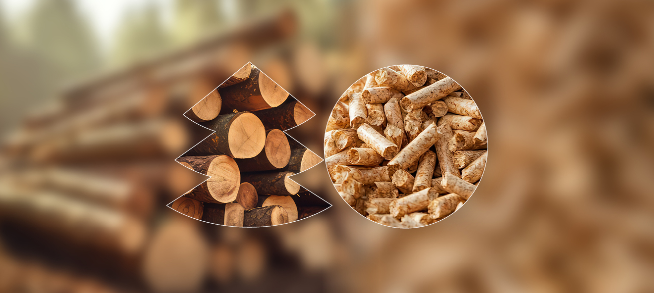 BIOMASA Targi Odnawialnych Źródeł Energii w Rolnictwie i Leśnictwie